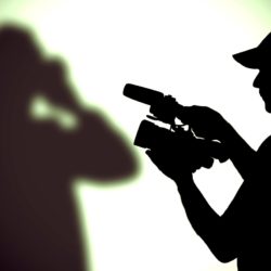 Journaliste-pigiste ou rédacteur freelance, quel statut choisir ?