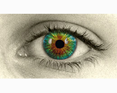 eye tracking groupe IGS