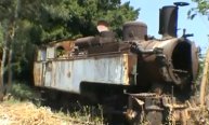 Documentaire : Dans leurs veines coule le train